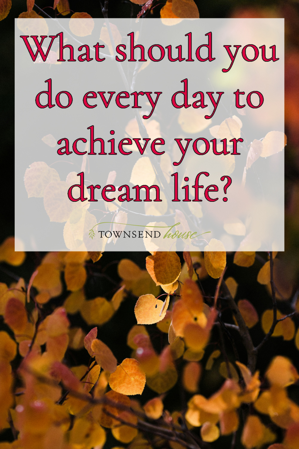 what should you do every day